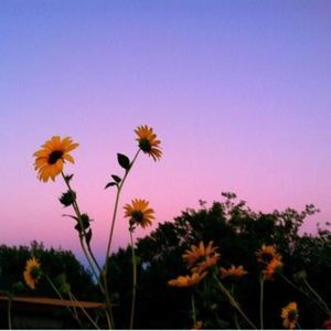 Meet your Posher, Sabrina